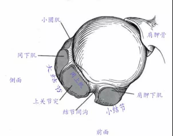 微信图片_20200213144222.jpg