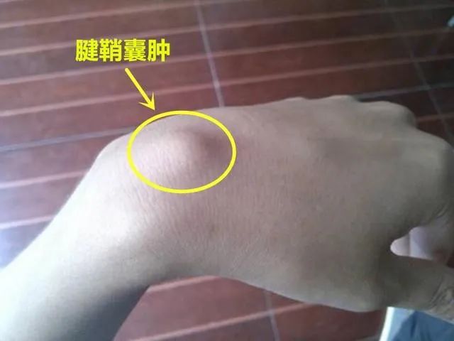 微信图片_20220417153023.jpg